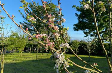 Woodview Cottage - Foto 75