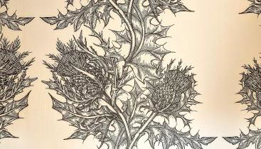 Auld Tom's Rest - Foto 5