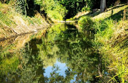 Hirtenhaus 28b Obergeschoss - Foto 1