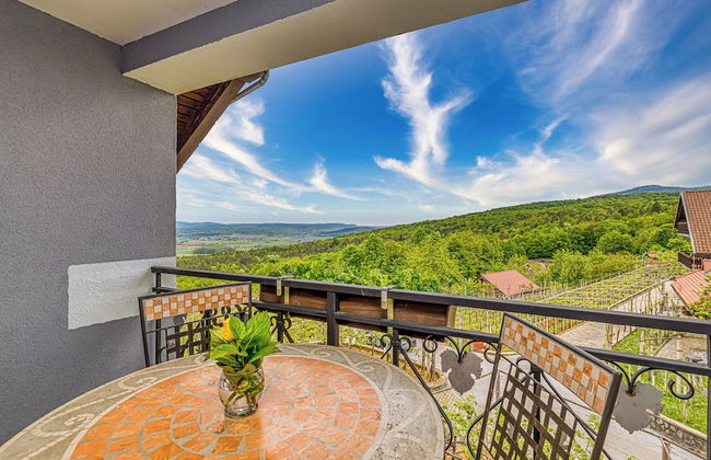 Vineyard Homestead Vrtin - Foto 12