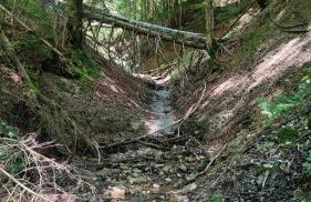 Sägemühle Eschachthal - Photo 20