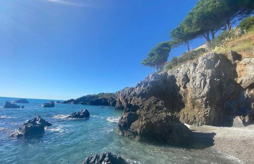 Apartment Victoria - Photo 7