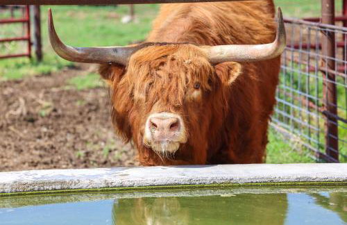 Beatrice Studio with Fire Pit Near Golf! - Foto 30