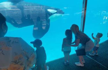 Now, this is San Diego! - Foto 25