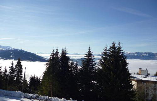 Appartements Le Clos des Gentianes - Foto 27