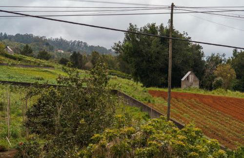 GuestReady – Charming Getaway by Madeira's Nature - Foto 35