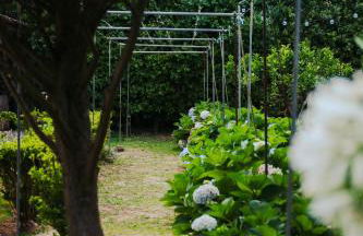 GILS Experience - Photo 50