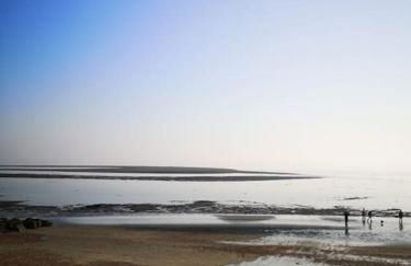 Stunning architect designed beachfront property - Foto 36