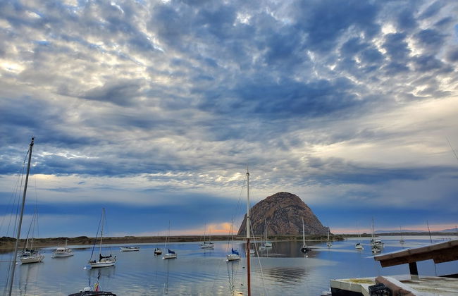 Gray's Inn & Gallery - Foto 22