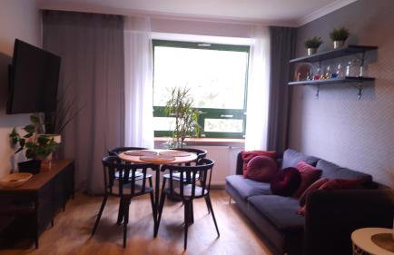 Apartament dla 2 osób nad rzeką - Foto 13