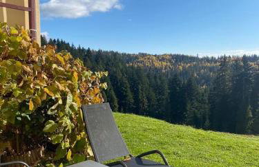 Apartament w górach Gorce - Foto 1