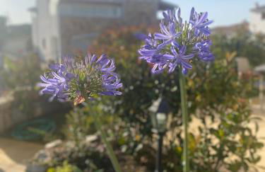 Casa Vacanza La Molaretta di San Teodoro - Foto 10