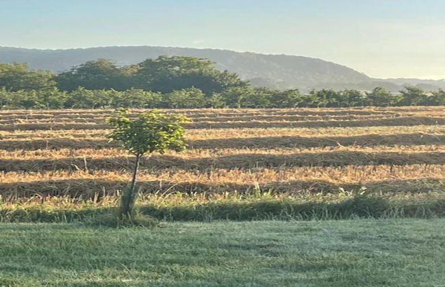 Appealing Apartment in Vezac With Swimming Pool - Foto 66