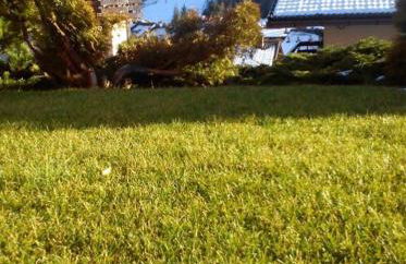 Casa Costa Alta - Foto 25