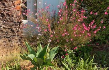 V Apartments - Foto 18