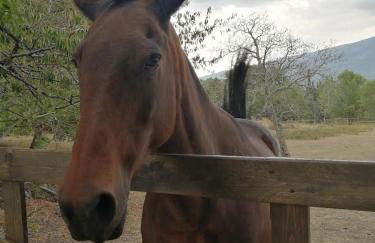 HOME L'UPUPA AMIATA - Foto 58