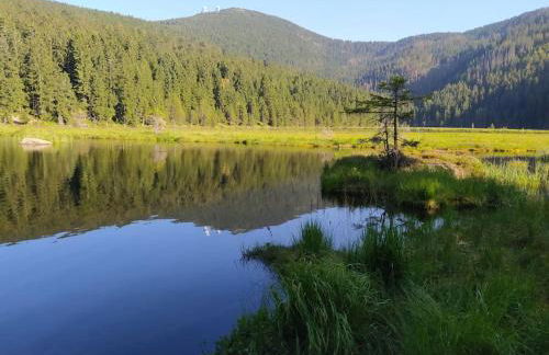 Apratmán Julie – Bavorská Ruda - Foto 47