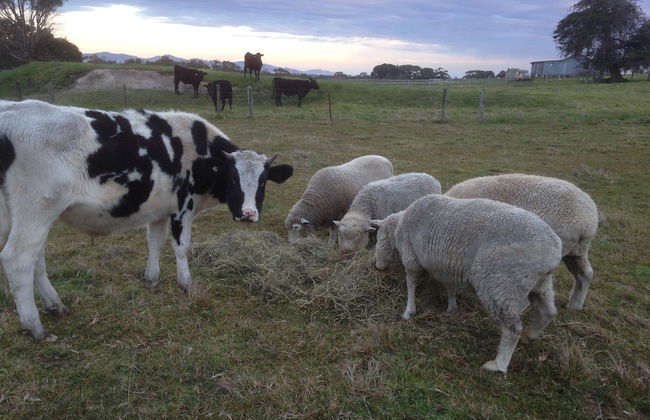 Prom Coast Holiday Lodge - Foto 71