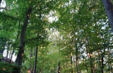 Ferienwohnung für Naturfreunde - Foto 15