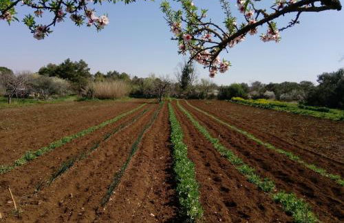 Agriturismo Poggio Ferrata - Foto 41