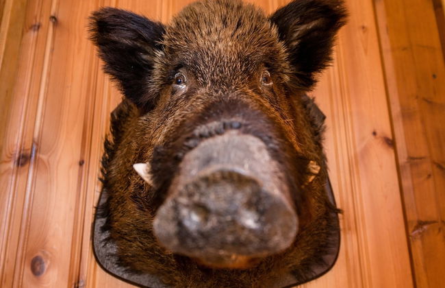 Eichenborn Gartenaufenthalt - Photo 27