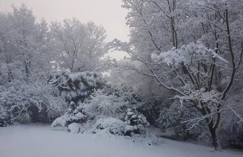 Acorn Lodge Luxury Retreat In a Stunning Oasis With Hot Tub - Pass the Keys - Foto 77