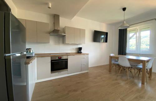 Apartamenty Asturia Rymanów Zdrój - Foto 12