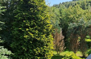 Agroturystyka Jagodowa Róża - Maria Farganus - Foto 66