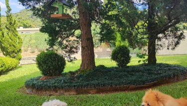 Chalé do Tabuleiro - Foto 2