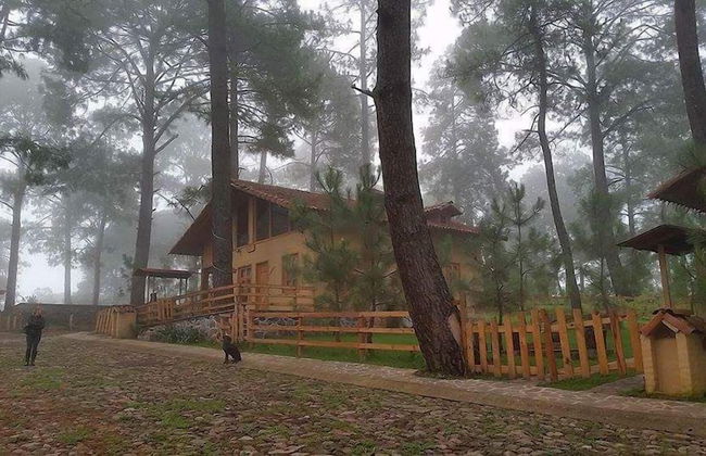 Cabanas Los Abuelos - Foto 21