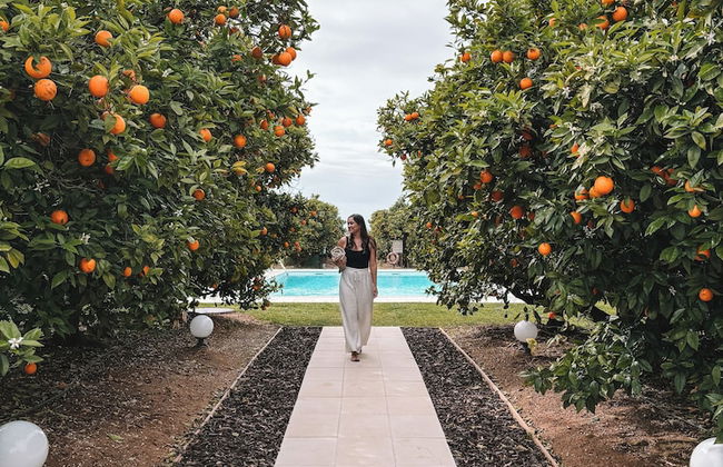 Quinta dos Perfumes - Photo 43