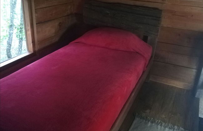 Cabaña Rústica 2 Maravillosa,con Troncos Nativos, con Orilla de Río Trancura - Photo 10