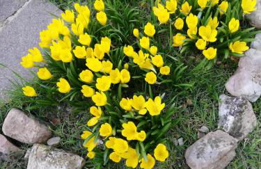 Casa Vacanze "Dimora Quercia" - Villino "Quercia" - Foto 43