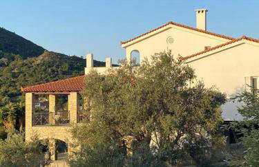 Villa Vlamari - Photo 7