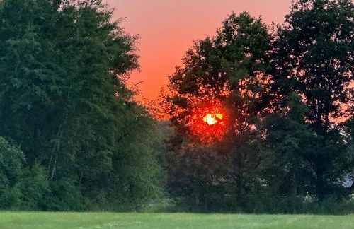 Apartment GNUBBEL am Wald - Foto 22