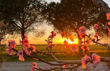 Masseria Casina Montana - Foto 42