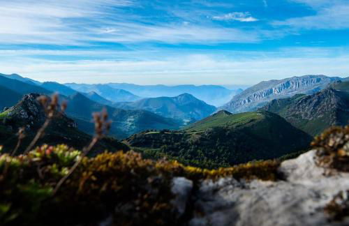 Apartamento Roca Verde - Foto 27