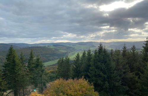 Schönwald Waldchalet am Musenberg - Foto 11