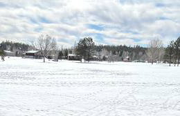 RelaxingRejuvenating 4BR 3 and half BA cabin Munds Park - Foto 3