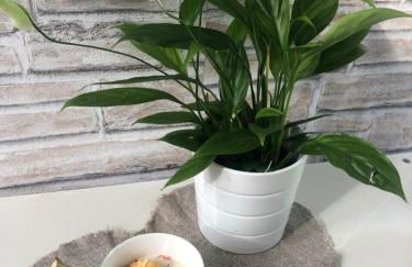 Casa Nonna Elide - Foto 11