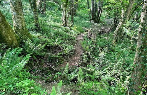 2 Bed in Chepstow oc-95046 - Foto 39