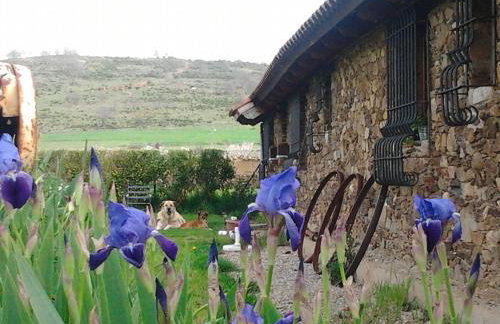 La Forqueta y El Fontanal - Foto 66