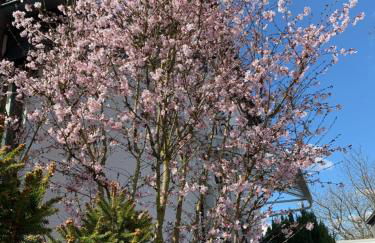 Holiday in der Lüneburger Heide - Foto 20