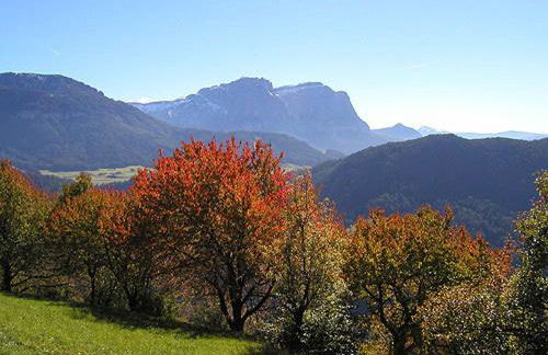 Gspoi-Hof - Photo 10