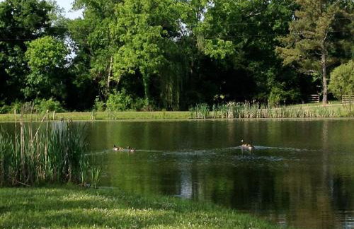 Delightful Vacation Cabins in Mount Juliet near Nashville, Tennessee - Foto 36