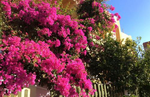 Eriketi Studios - Foto 20