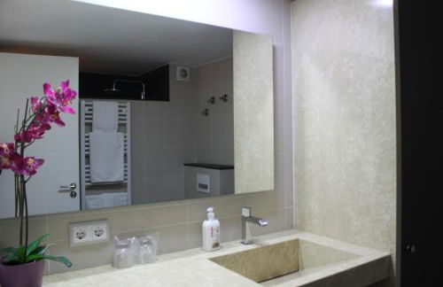 Apartaments y Habitacions Entre Volcans - Foto 40