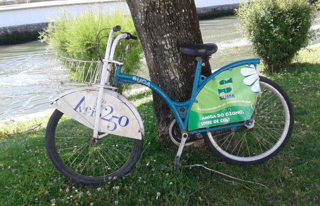 Aveiro Bike Tour - Photo 6