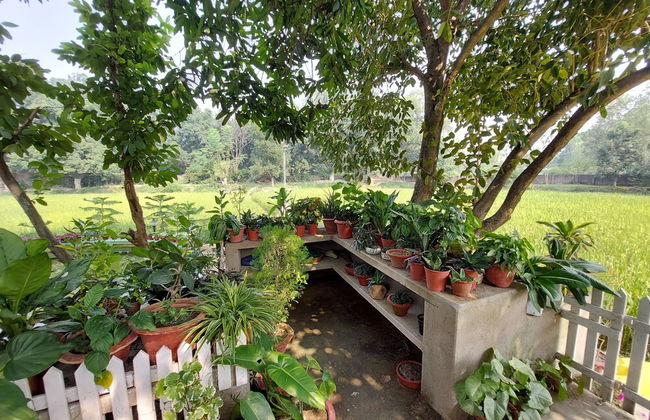 Koko's Farm - Foto 39