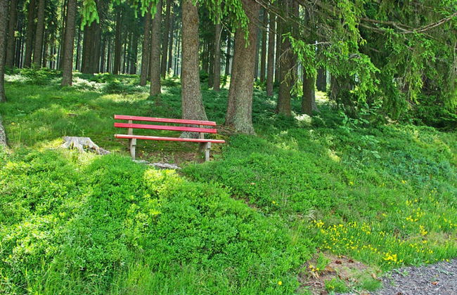 Rappenloch Modern Retreat - Foto 19